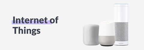 iot development